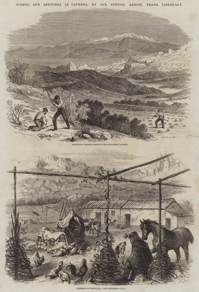 Scenes and Sketches in Caprera by Frank Vizetelly